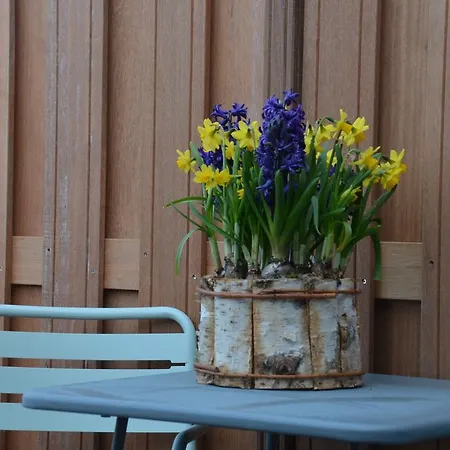 Hotel Restaurant De Engel Lisse