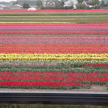 Restaurant De Engel Лиссе