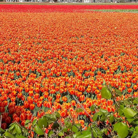 Restaurant De Engel Лиссе