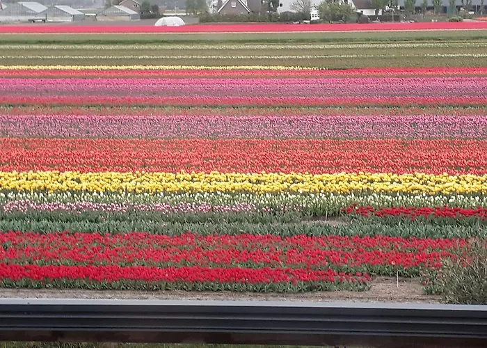 Restaurant De Engel Lisse